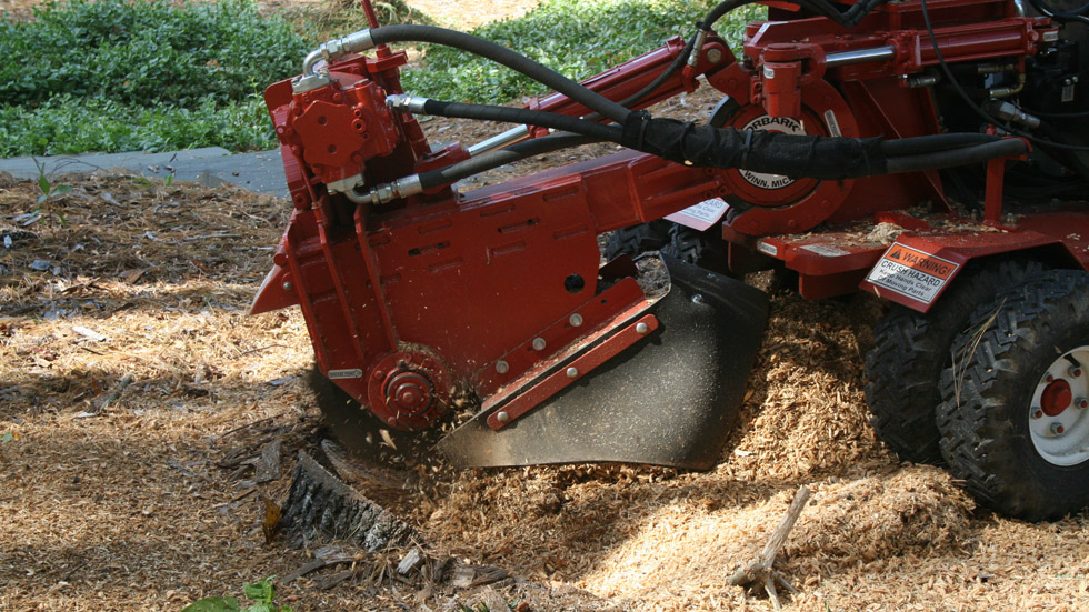 Big R tree service Suffolk County NY