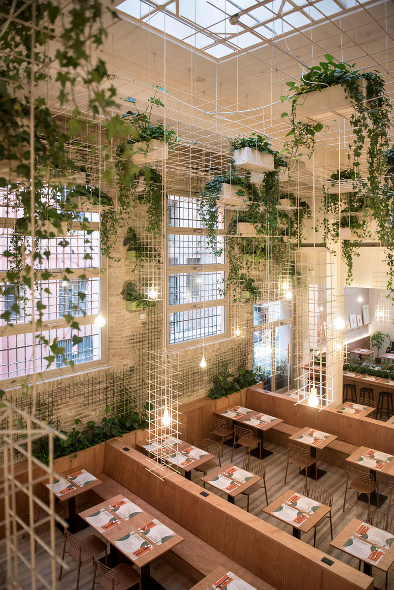 Bio’s Kitchen, Bologna BIG SEE