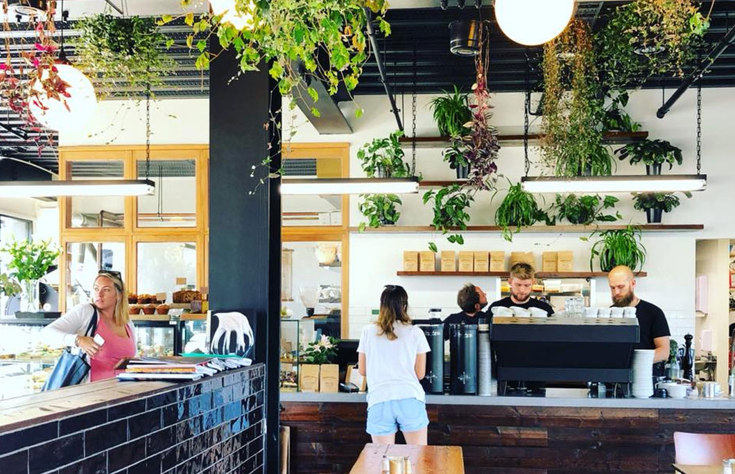The 7 Best Coffee Shops In Christchurch Big 7 Travel