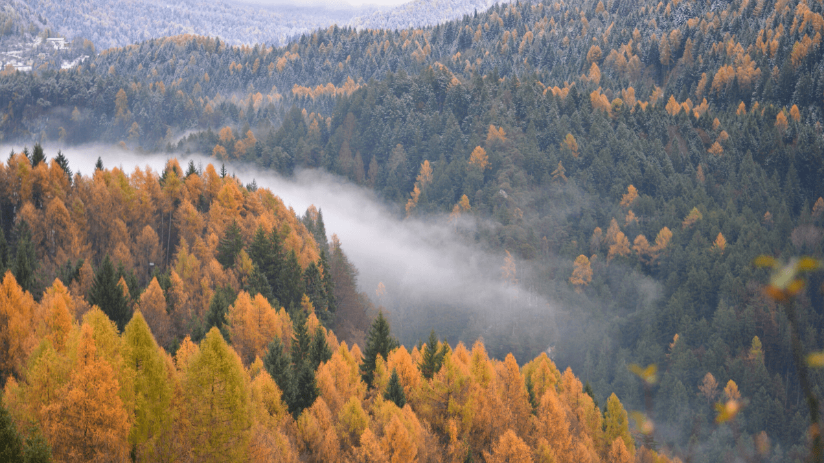 The Best National Parks in Iowa Big 7 Travel