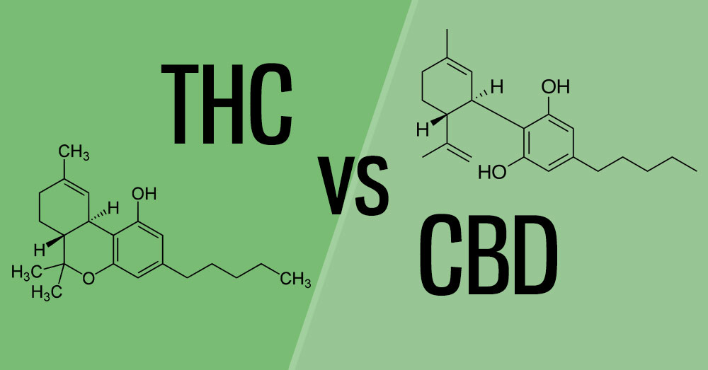 CBD vs THC What's the Difference? Big Sky Botanicals