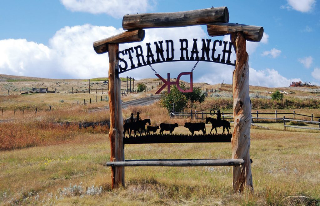 The Legacy of Leroy Strand Big Sky Journal