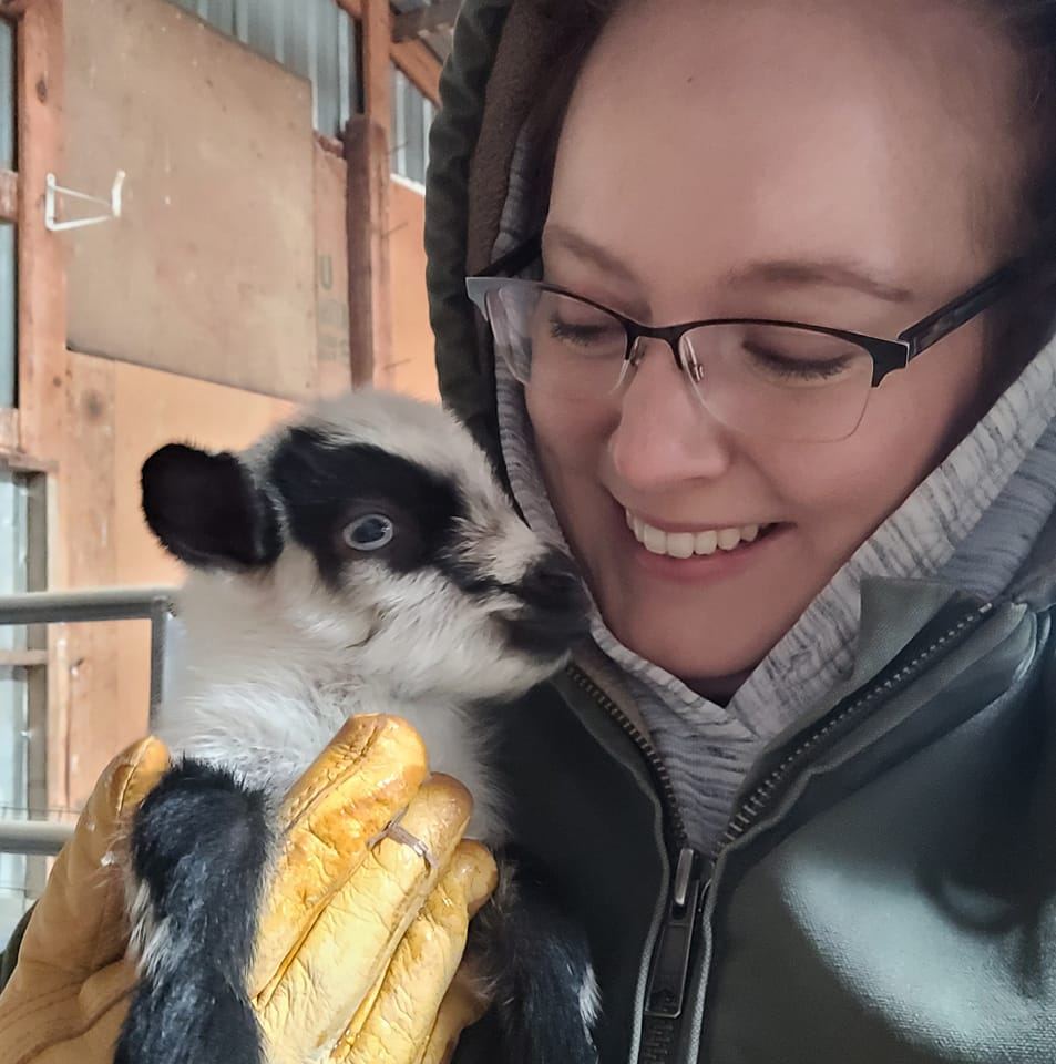 Billings Montana Veterinary Hospital Big Sky Pet Center