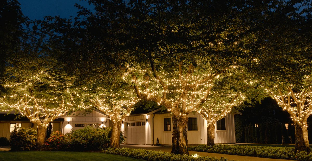 Christmas in July Embracing the Joyful Midyear Festivity Big Star Lights