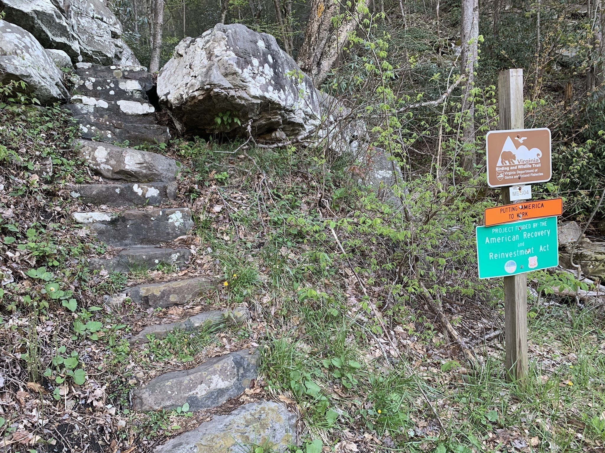 Roaring Branch Trail Big Stone Gap