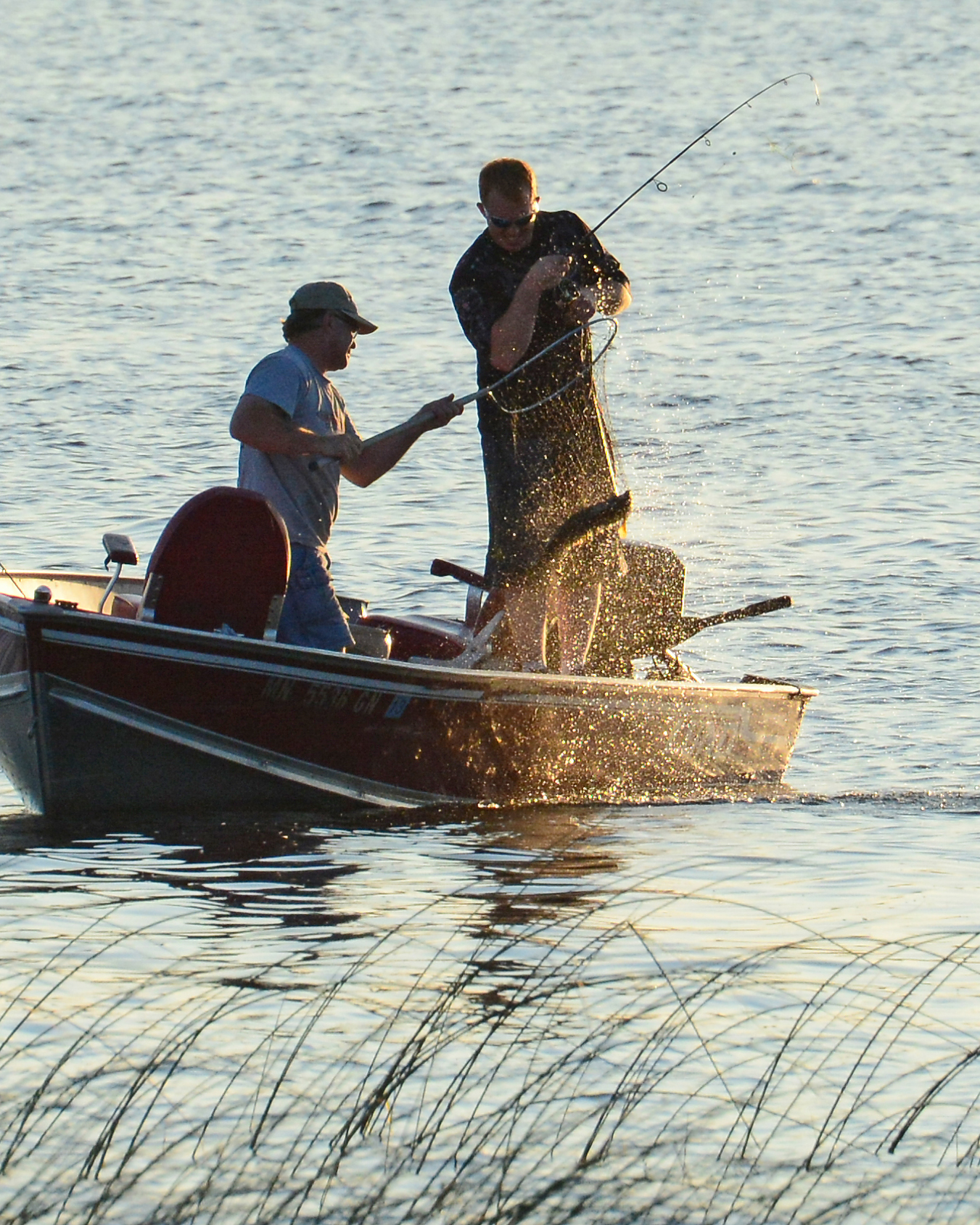fish on BIG SWAN LAKE TRUMPETER