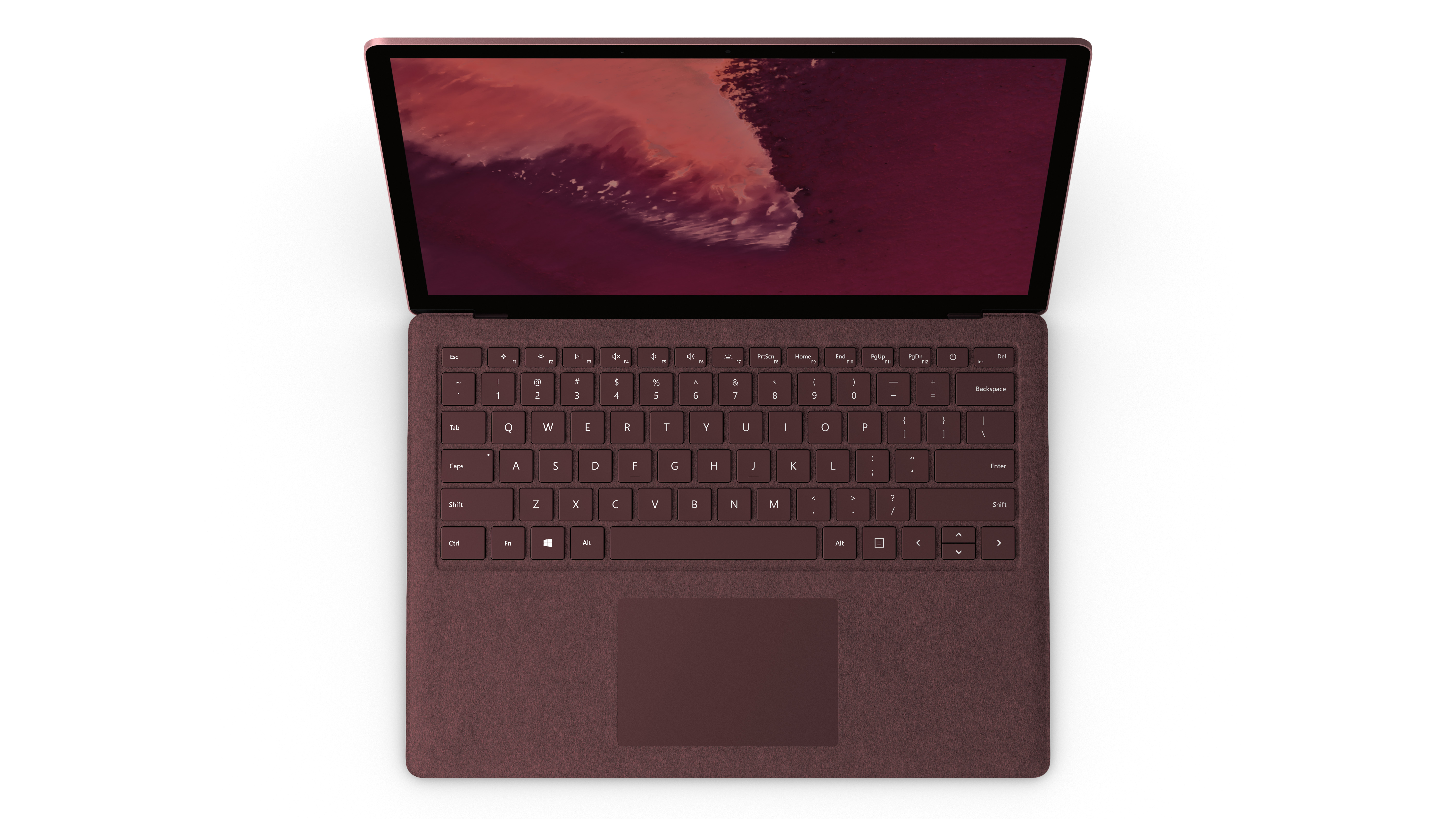 Which Microsoft Surface