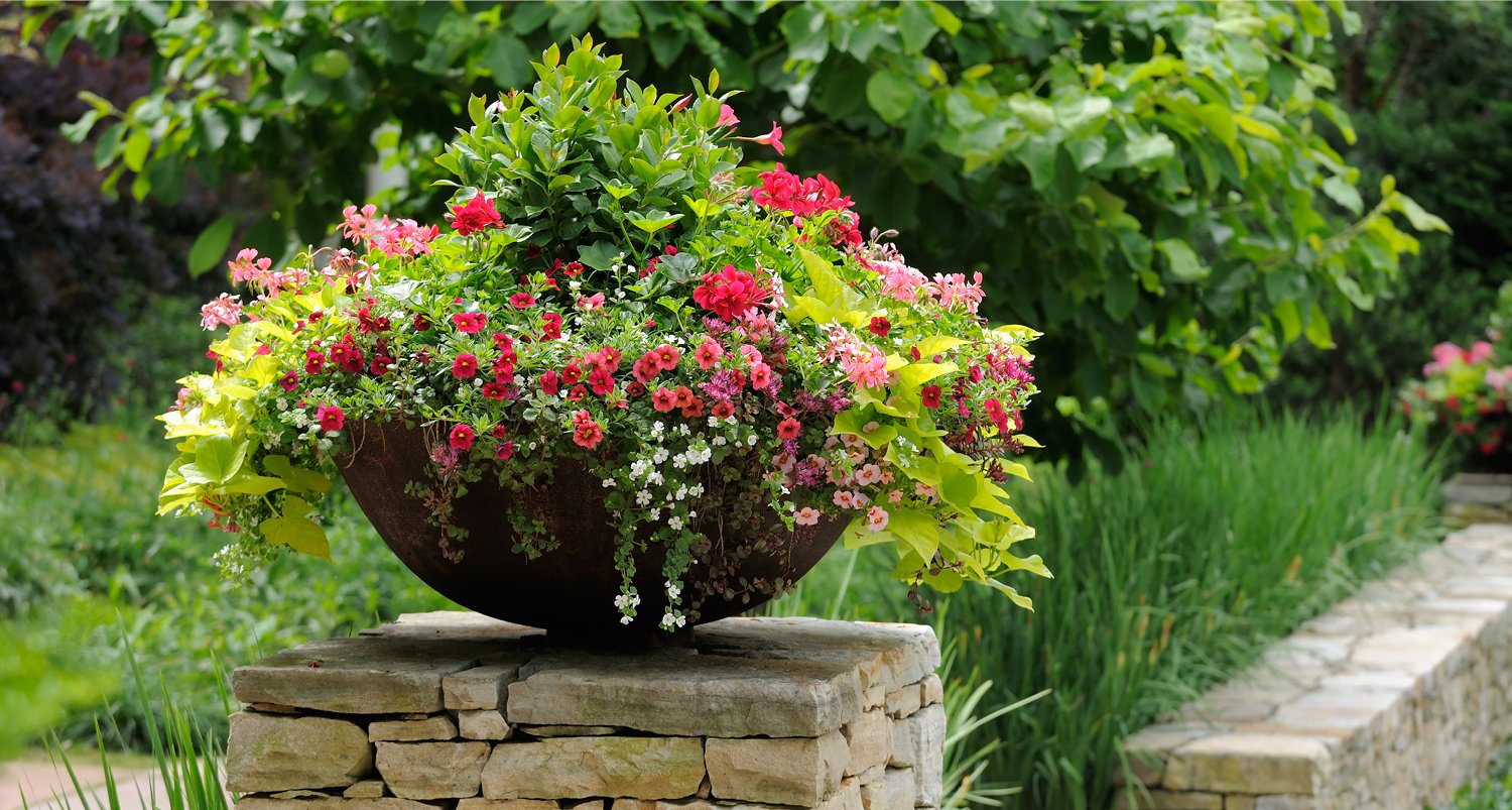 Build Your Own Combination Planter with Help from Drew State Fair of