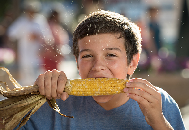 VEGETARIAN, VEGAN, GLUTENFREE, AND HEALTHIER FAIR FOODS State Fair of Texas