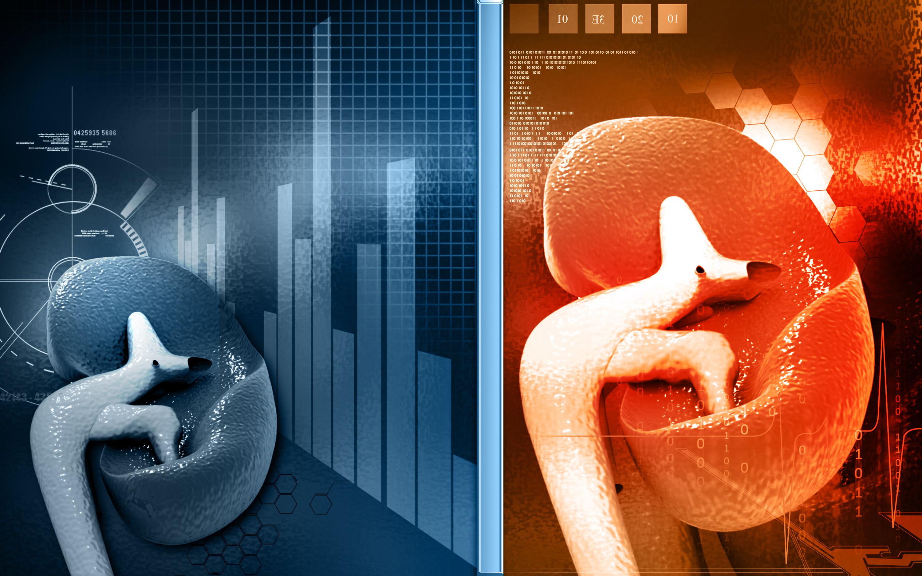 First Successful LabGrown Kidney Transplant Big Think