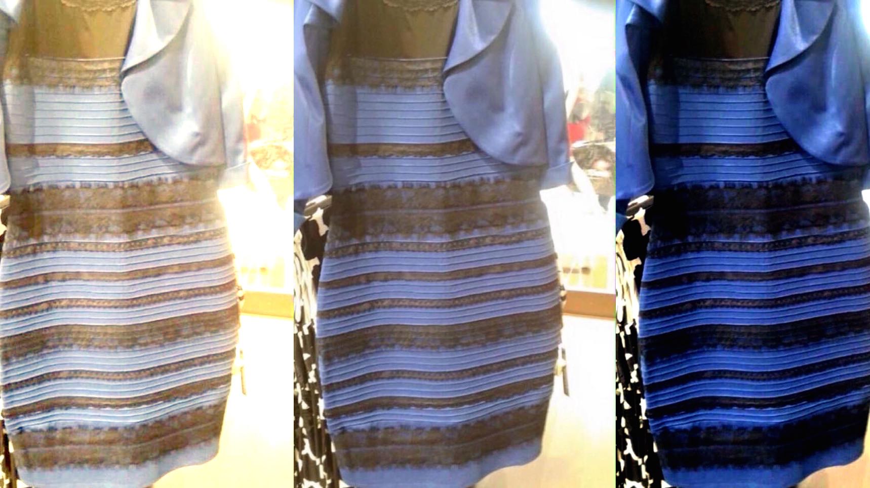 Why We're Fascinated by the BlueBlack, WhiteGold Dress Big Think