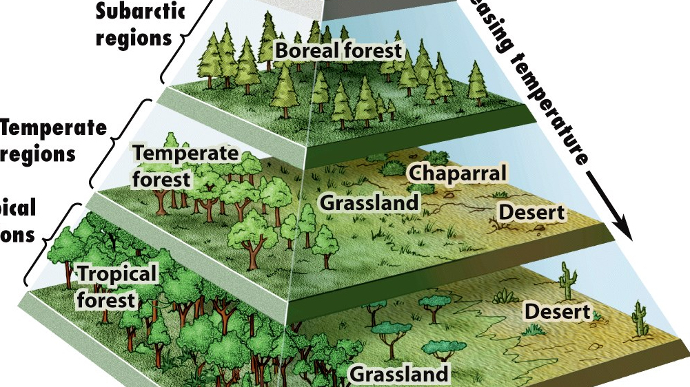 A Pyramid Map of the World’s Biomes Big Think