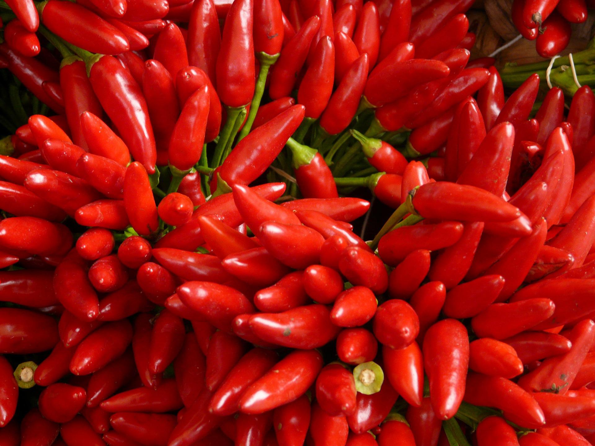 Capsaicin, the chemical in spicy peppers, used to boost solar cell