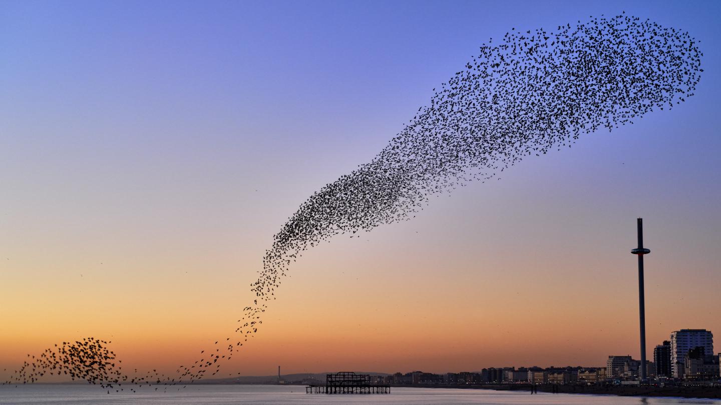 Researchers Announce A New State Of Matter: Swirlons - Big Think