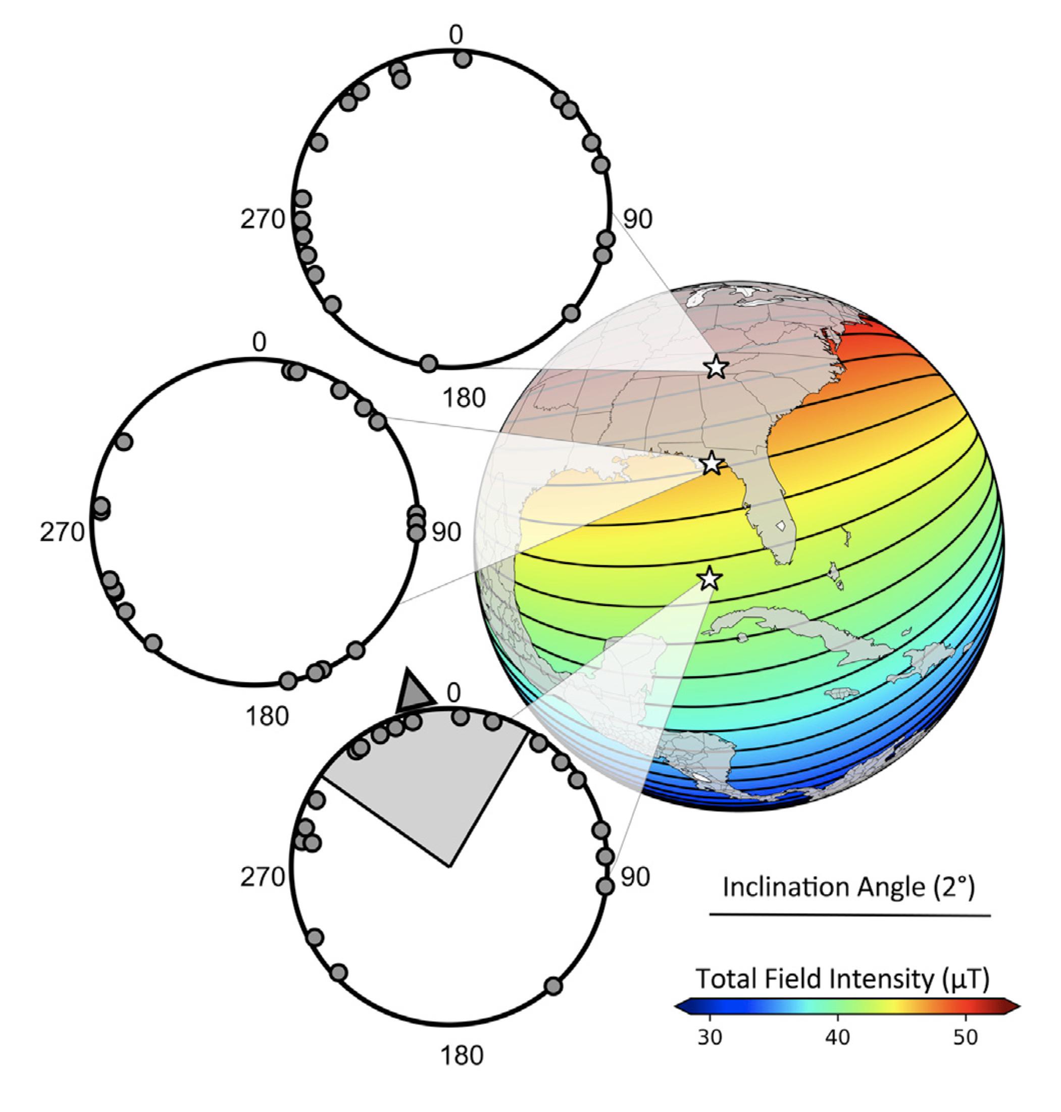 How to fool a shark using Big Think