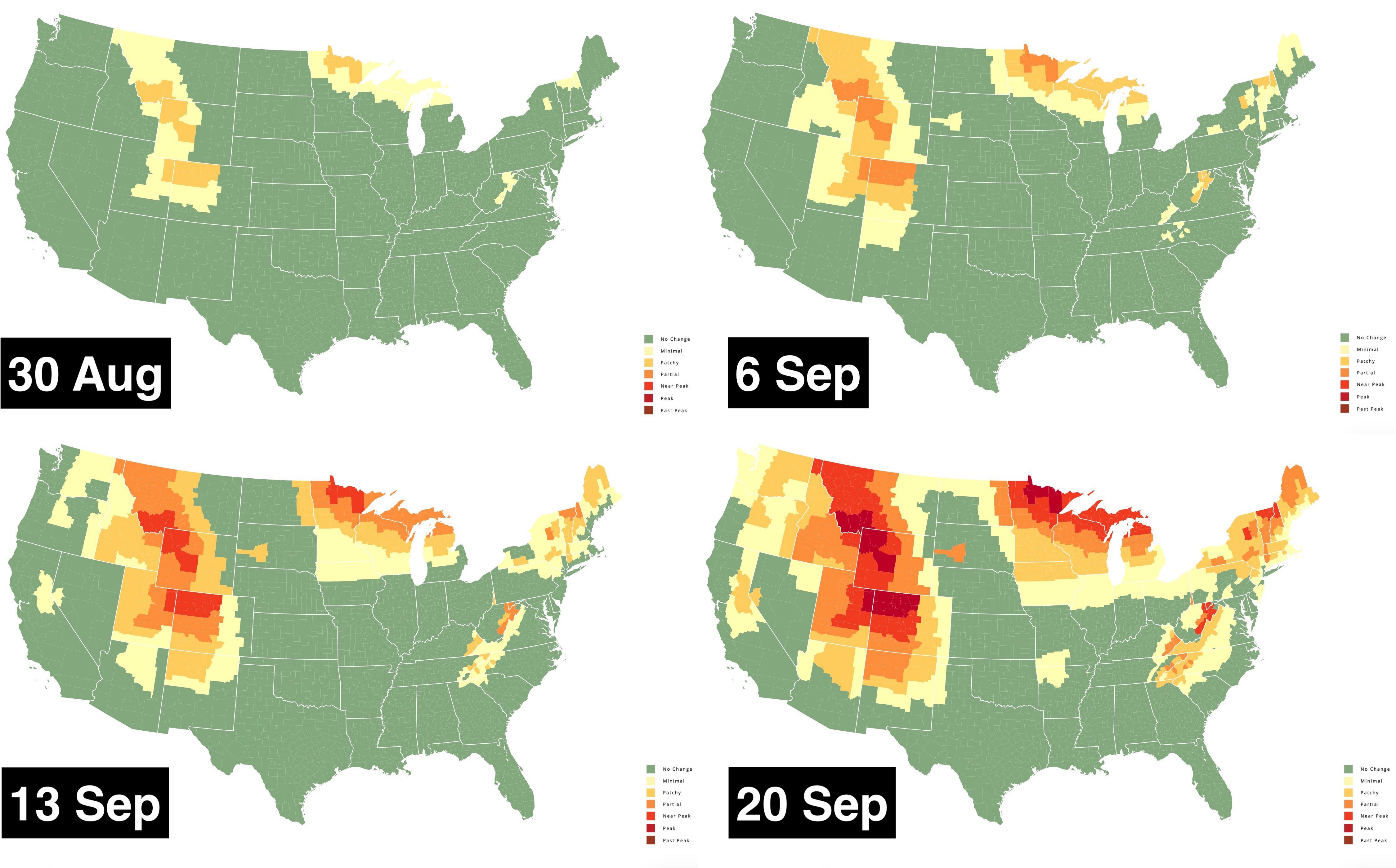 Peak foliage map where and when are leaves changing color? Big Think