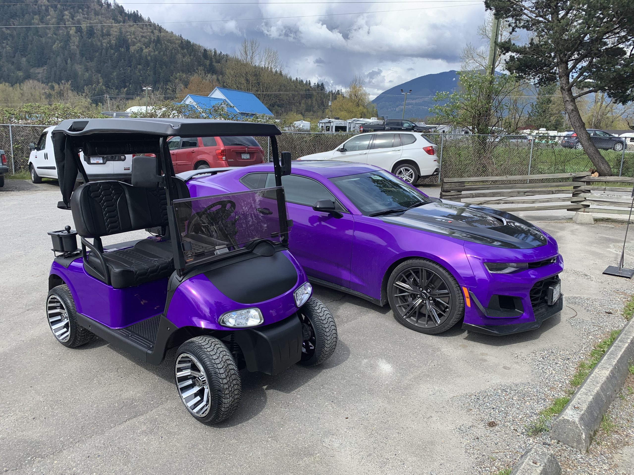 Purple matched EZGO RXV golf cart Big Thunder Golf Carts