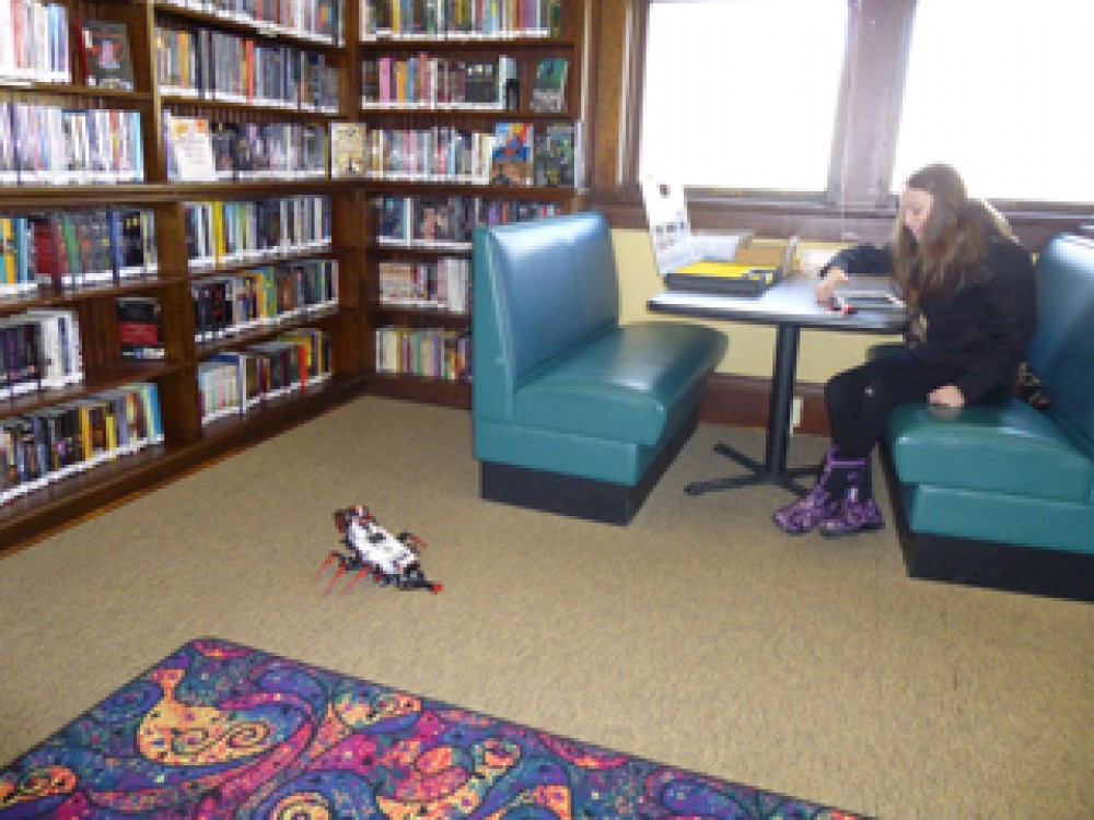 Friends of the Library Carnegie Public Library Big Timber, MT (enUS)