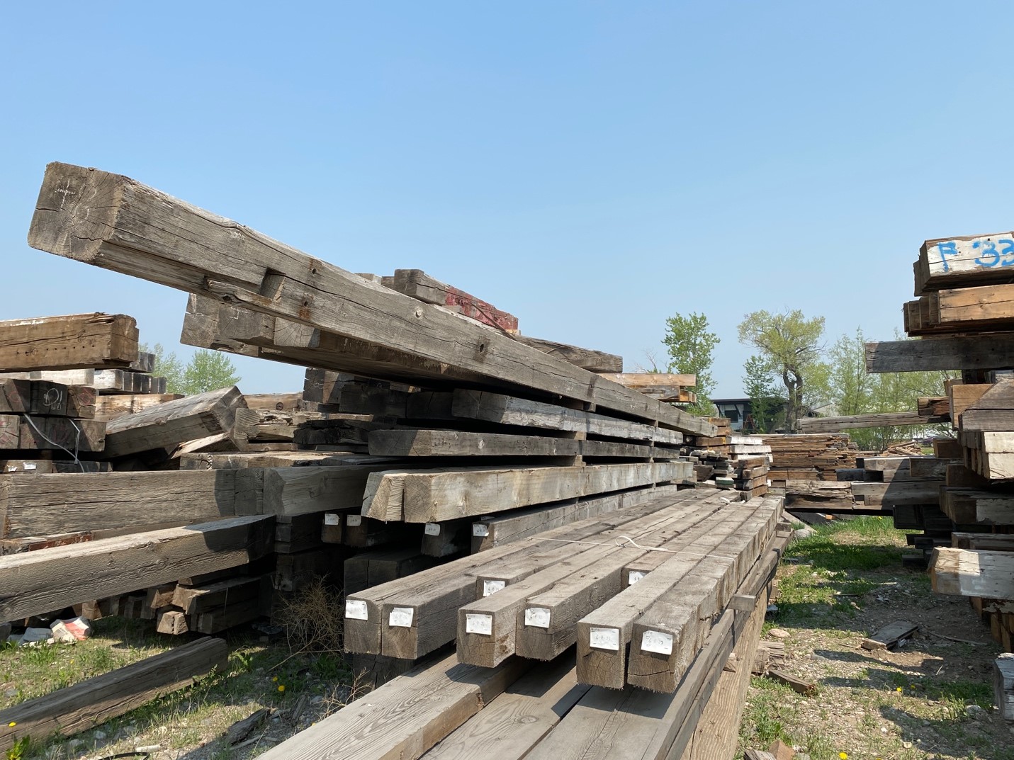 Timber Big Timberworks