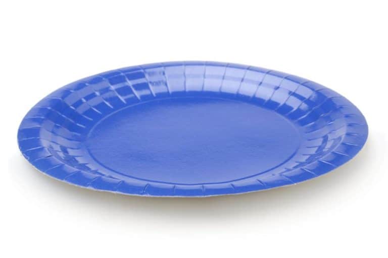 Can Paper Plates go in the Oven?