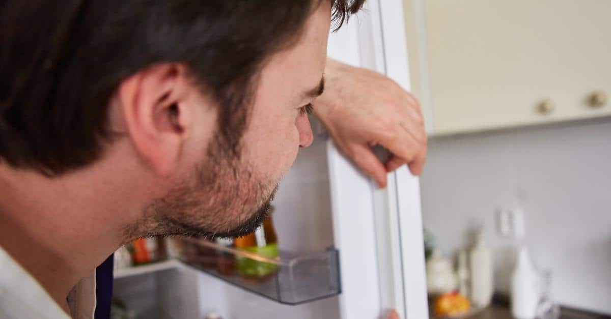 Why is My Fridge Seal Not Sticking?