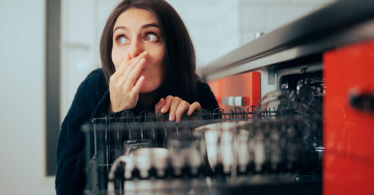 Do Dishwashers Kill Mold?