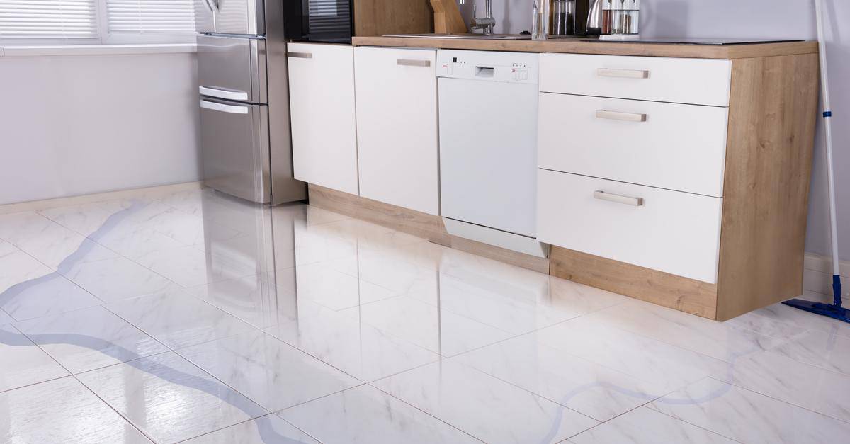 Dishwasher Filling With Water When Off