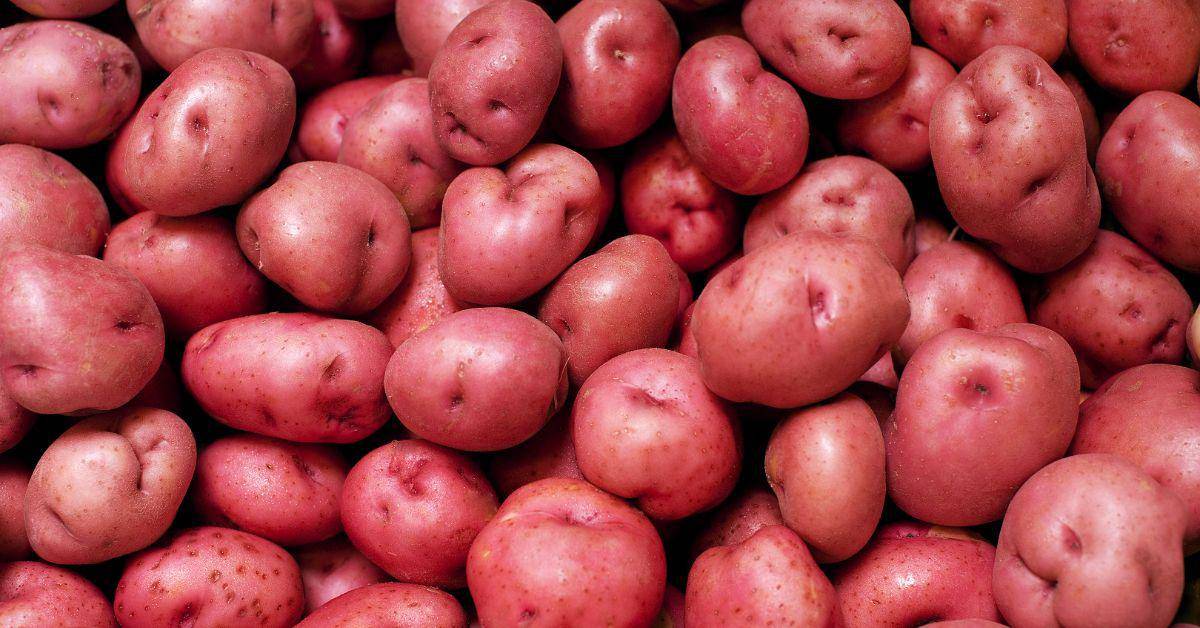 Can You Fry Red Potatoes?