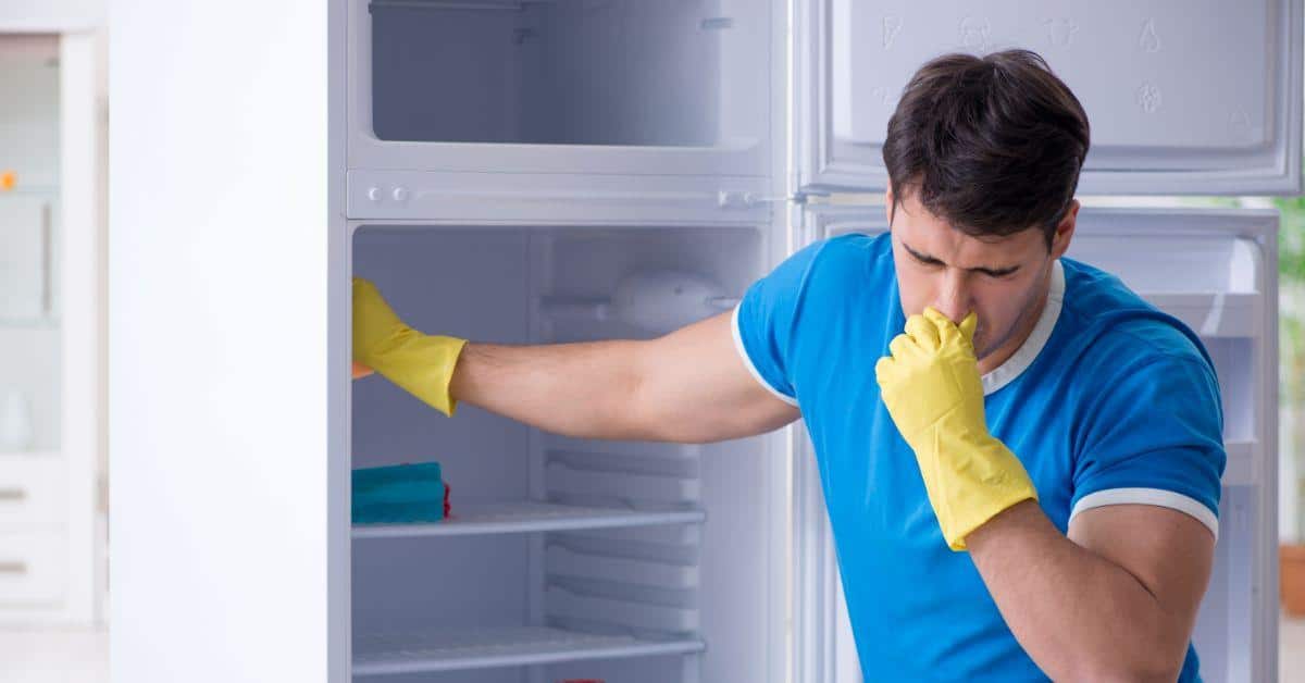 Freezer Smells Horrible Quick Fixes for Nasty Odors