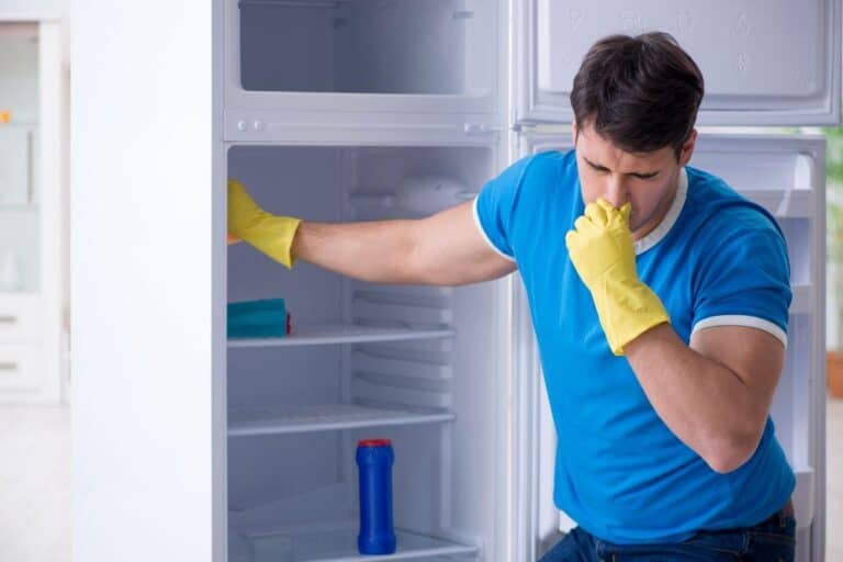 Freezer Smells Horrible Quick Fixes for Nasty Odors