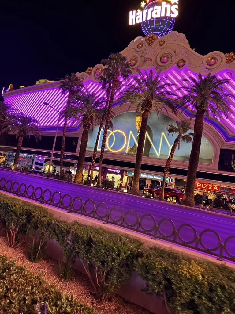 The best 7 Pet Friendly Hotels in Las Vegas big dog friendly too