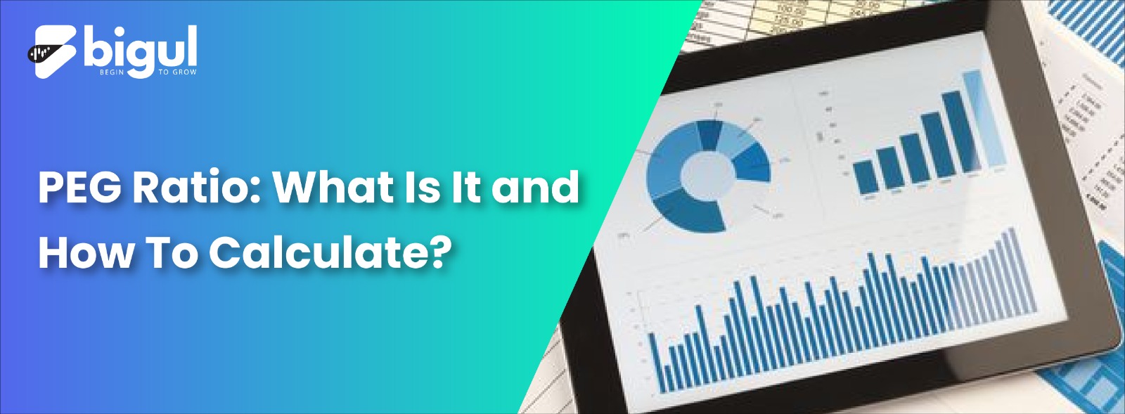 PEG Ratio What Is It and How To Calculate?