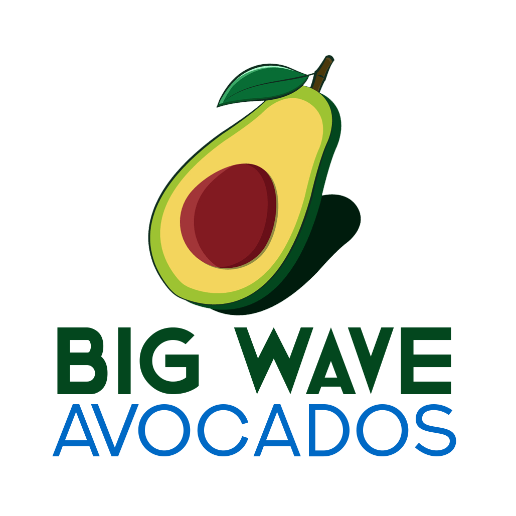 Contact Us Big Wave Avocado
