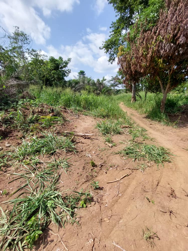 Terrains en vente à Abidjan Azaguié BIIM