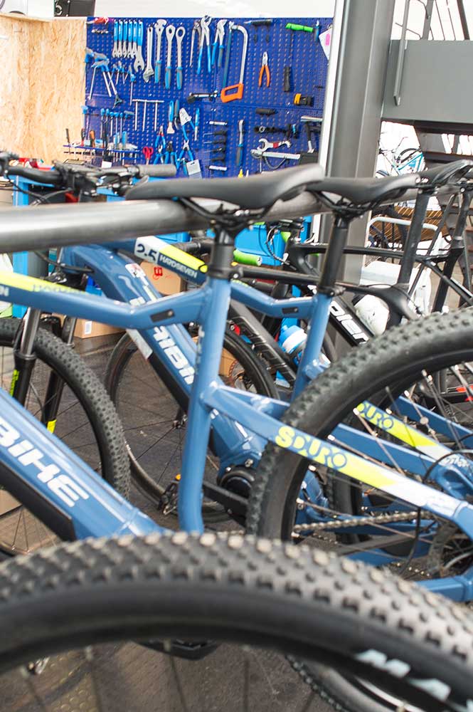 Gallery Bike 4 Langhe