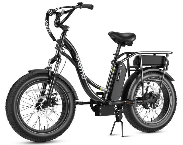 What Electric Bike Has the Longest Distance Bike Adventurous