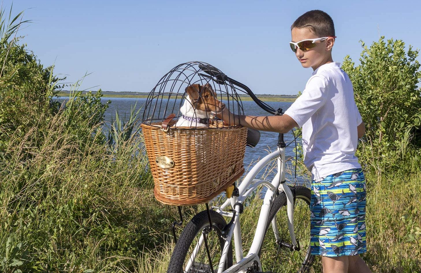 8 Best Dog Baskets for Bikes [2024] Our Top Picks Bike & Scoot