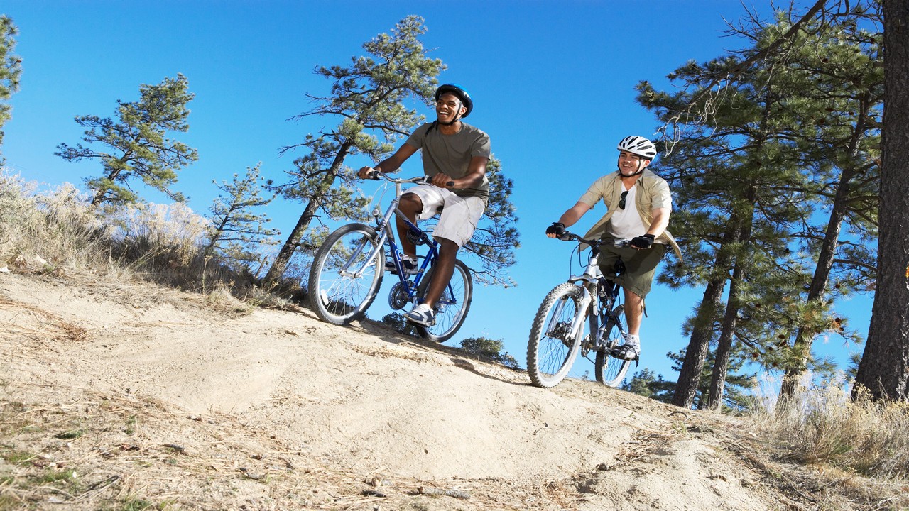 Cruiser Vs. Mountain Bike What's the Difference? Bike A Ton