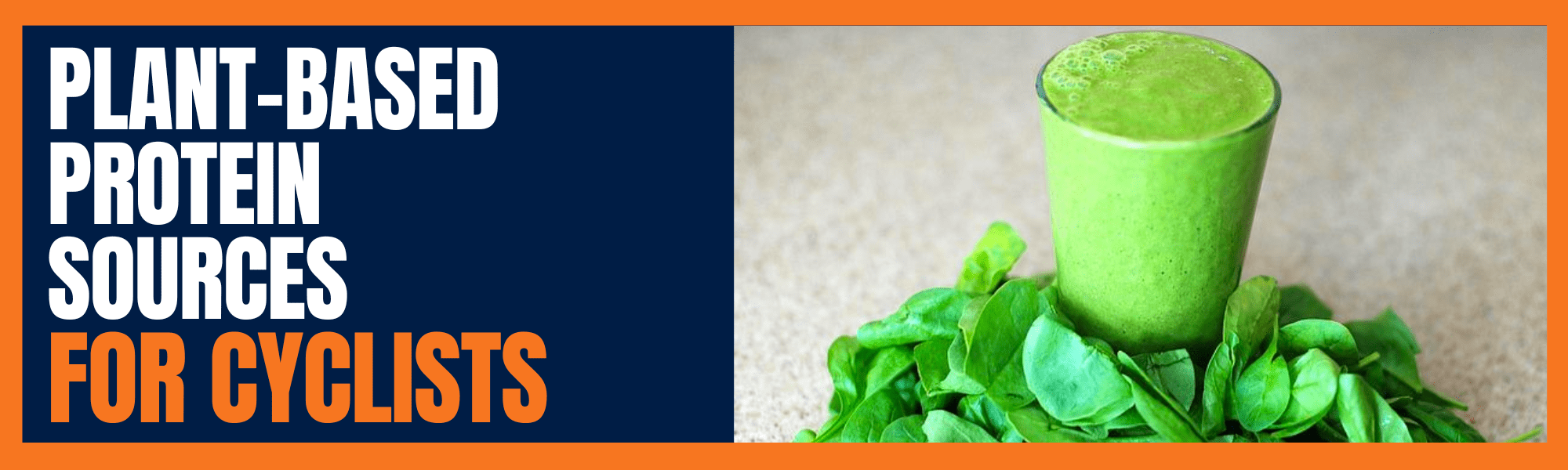 Cycling Protein Intake Calculator Bike Faff