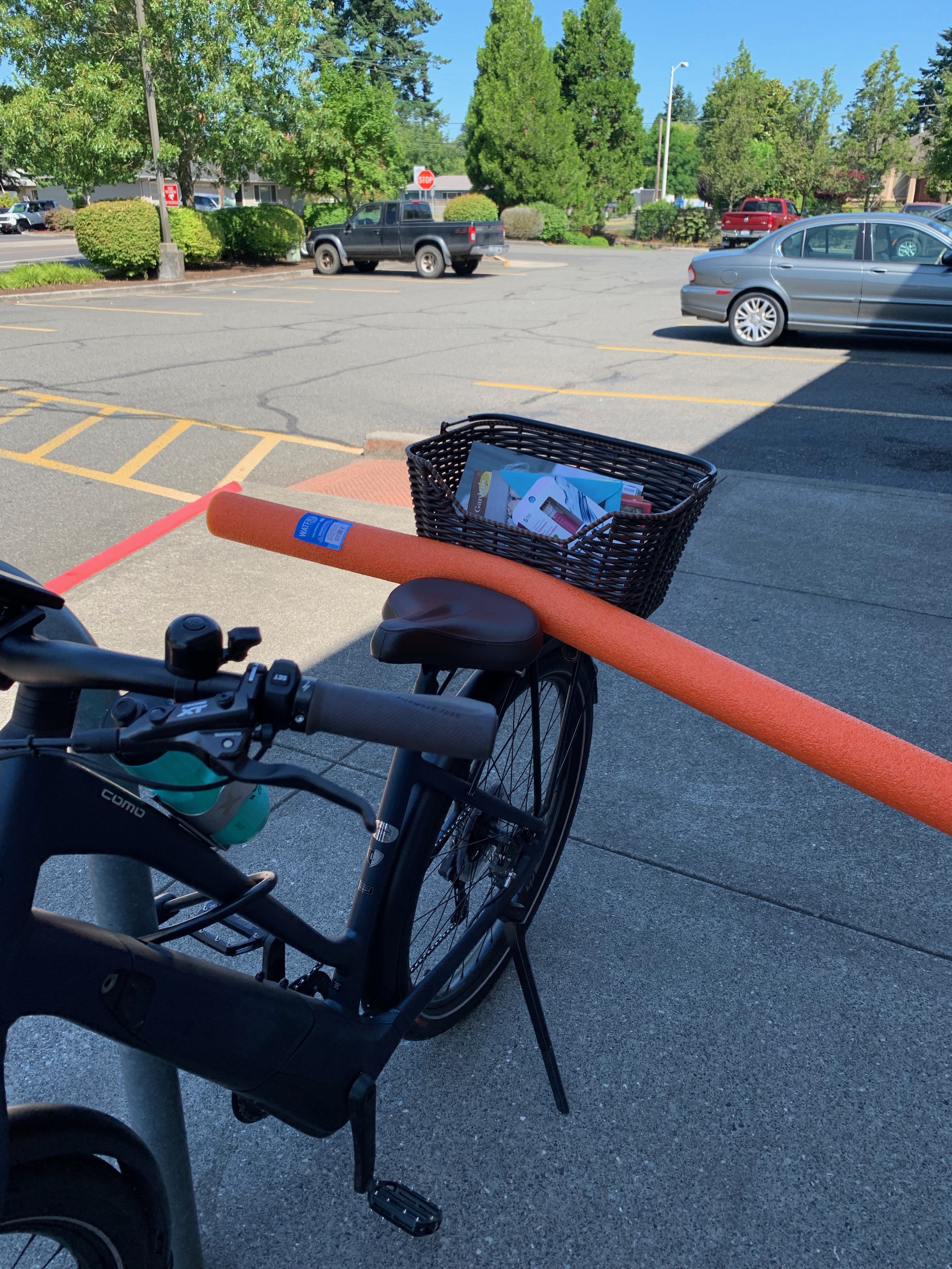 Bike Noodle, not only for Pools Bike Goddess