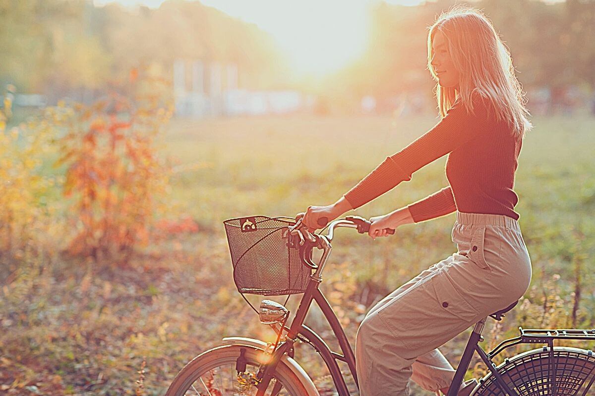 10 Best Bike Baskets [2022 REVIEW] Front and Rear