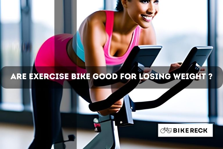 Exercise Bike Bike Reck