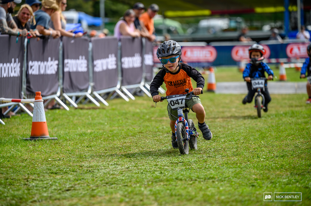 Use World Strider Day to Prepare for Balance Bike World