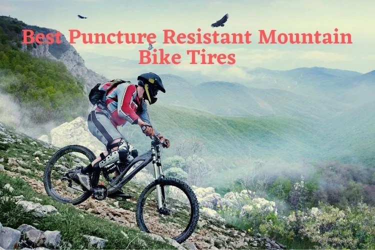 Top 10 Best Puncture Resistant Mountain Bike Tires [2024]