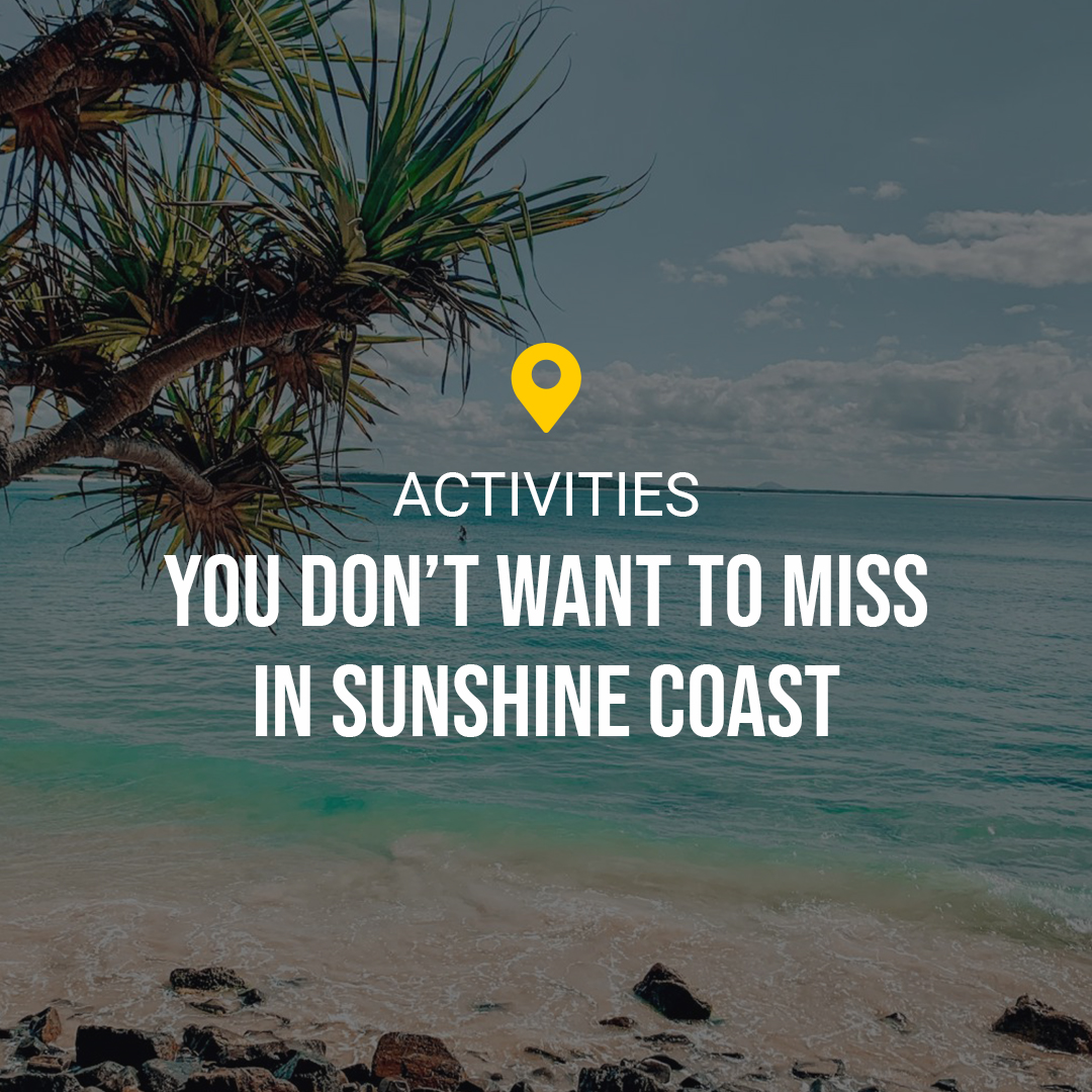 Activities You don't want to miss in Sunshine Coast