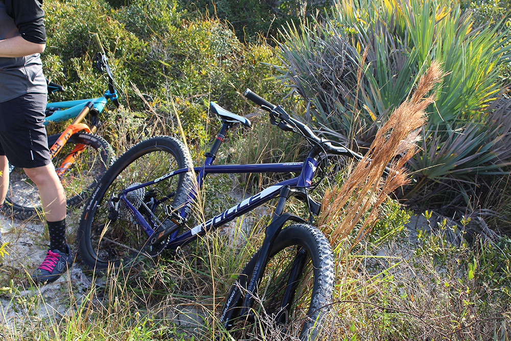 Mountain Bikes Bikes Palm Beach