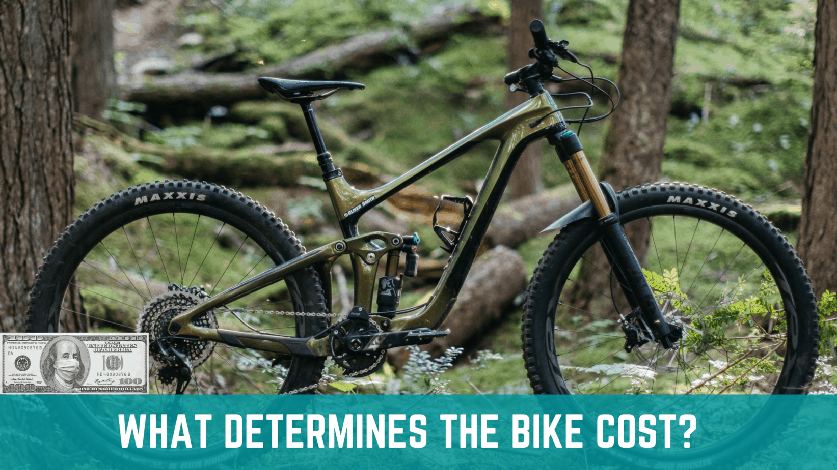 What Determines The Bike Cost?