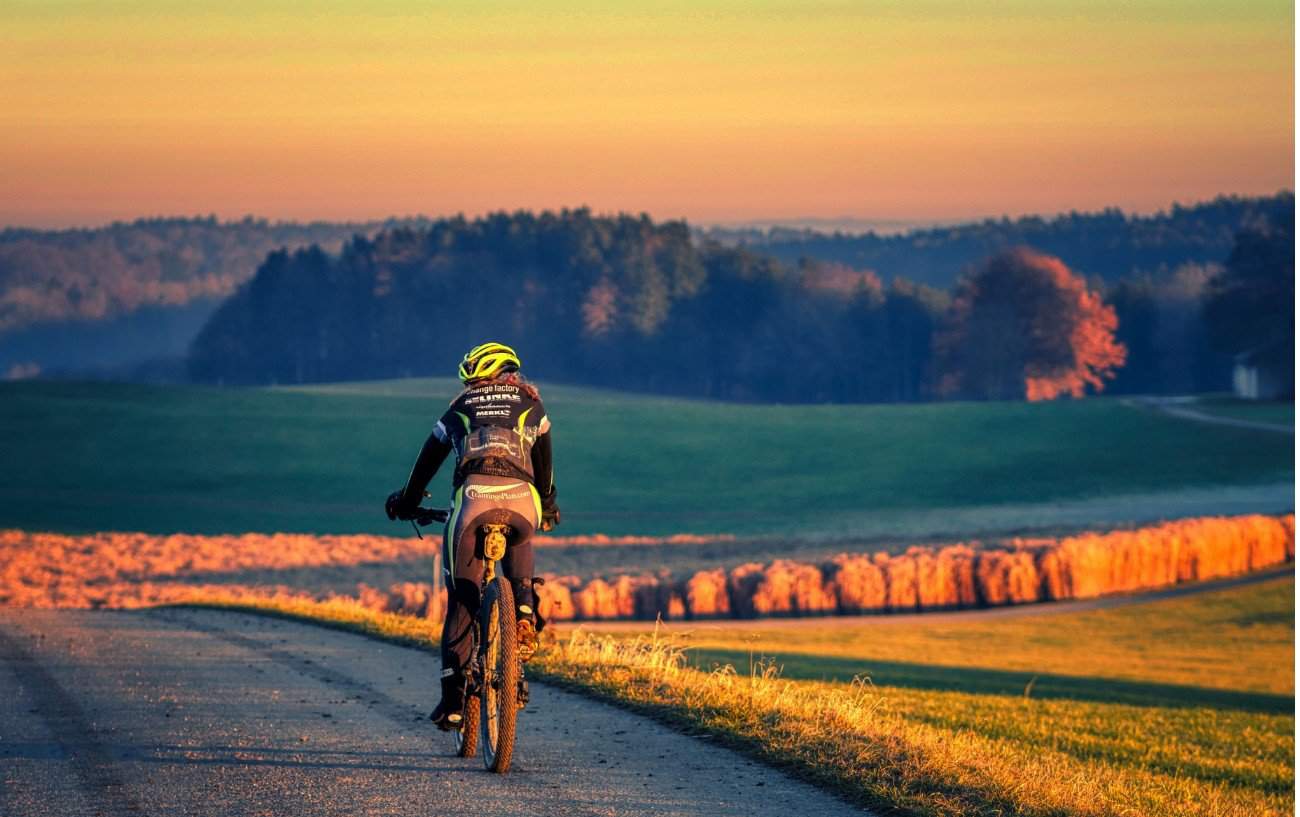 How To Change A Bike Inner Tube In 11 Steps [With Pictures]