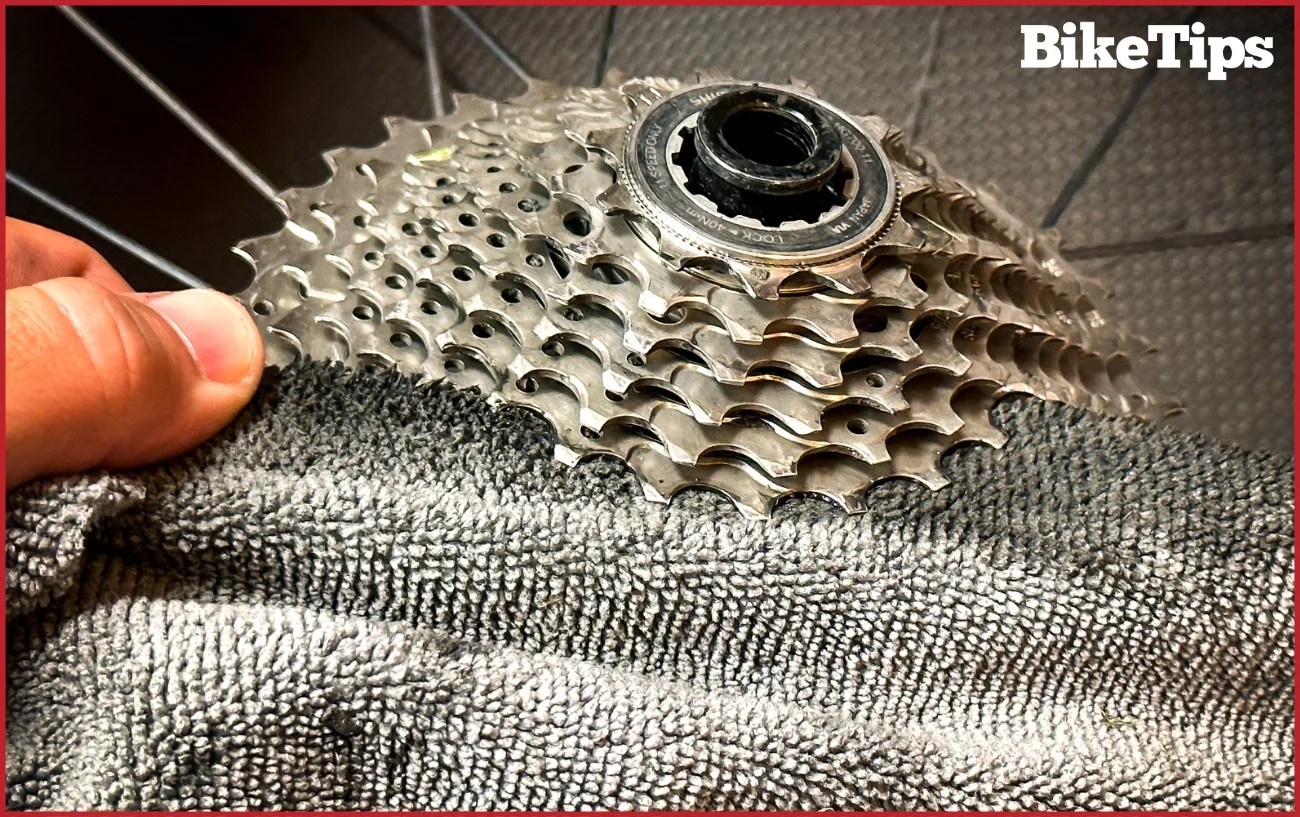 How To Clean A Bike Cassette In 6 Steps Ultimate Guide to Cleaning A