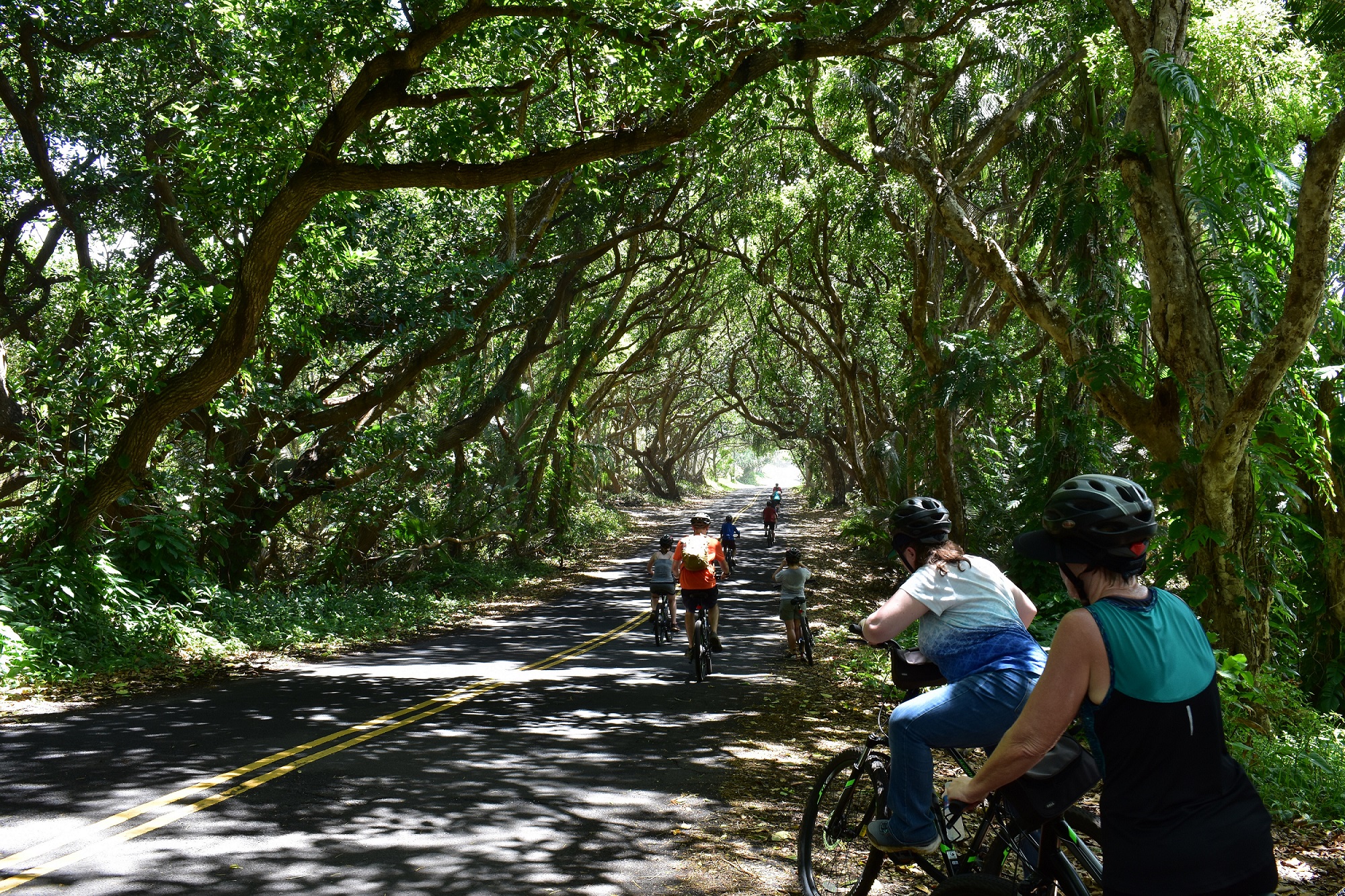 Hawaii Bike Tours Guided Bike Tours of the Hawaii Volcanoes National Park